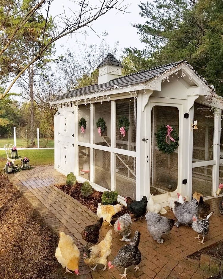 Hen House Inspiration The 20 Cutest Chicken Coops Ever Monterey   IMG 2200 