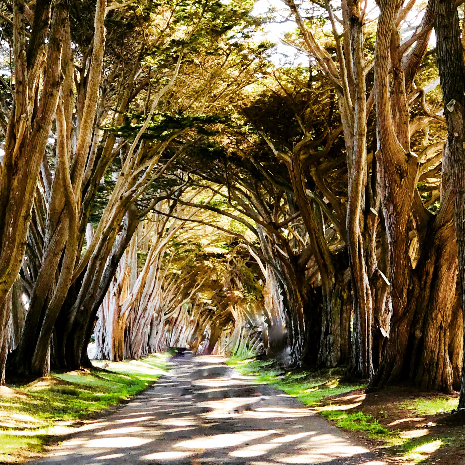 Point Reyes: Gateway to Adventure! – Monterey Farmgirl